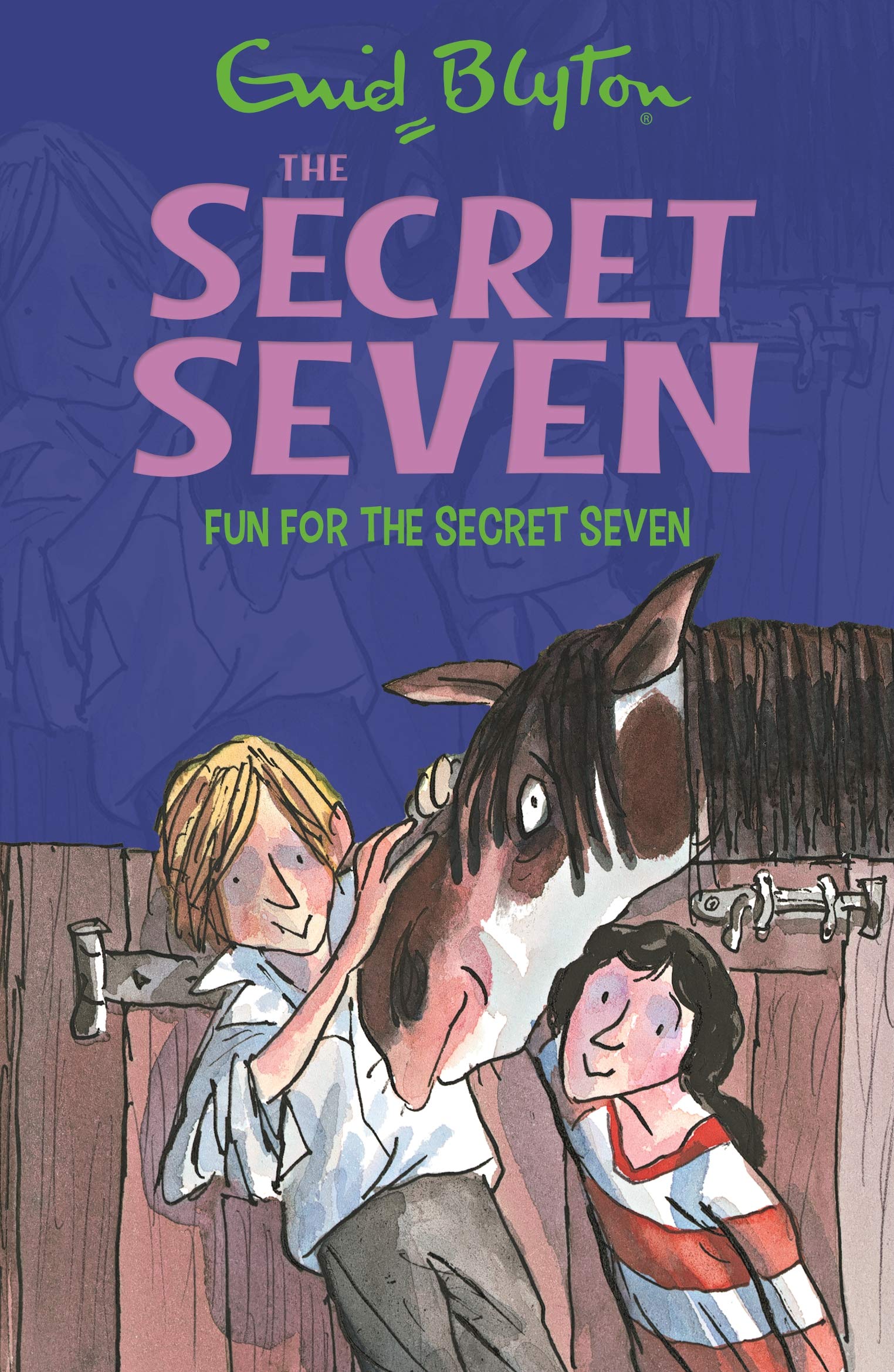 SECRET SEVEN: 15: FUN FOR THE SECRET SEVEN