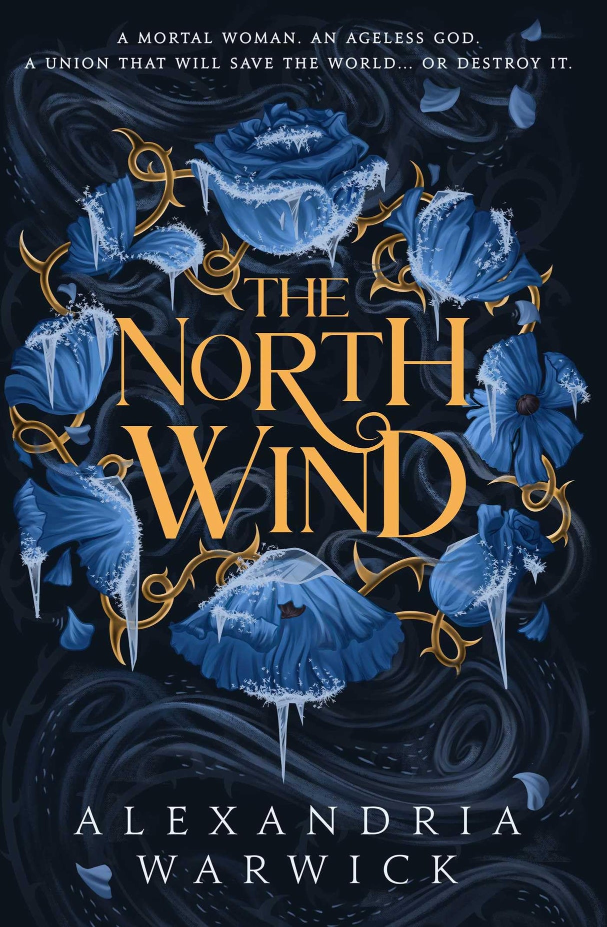 The North Wind: The TikTok sensation! An enthralling enemies-to-lovers romantasy, the first in the Four Winds series: Volume 1 - Retail Maharaj