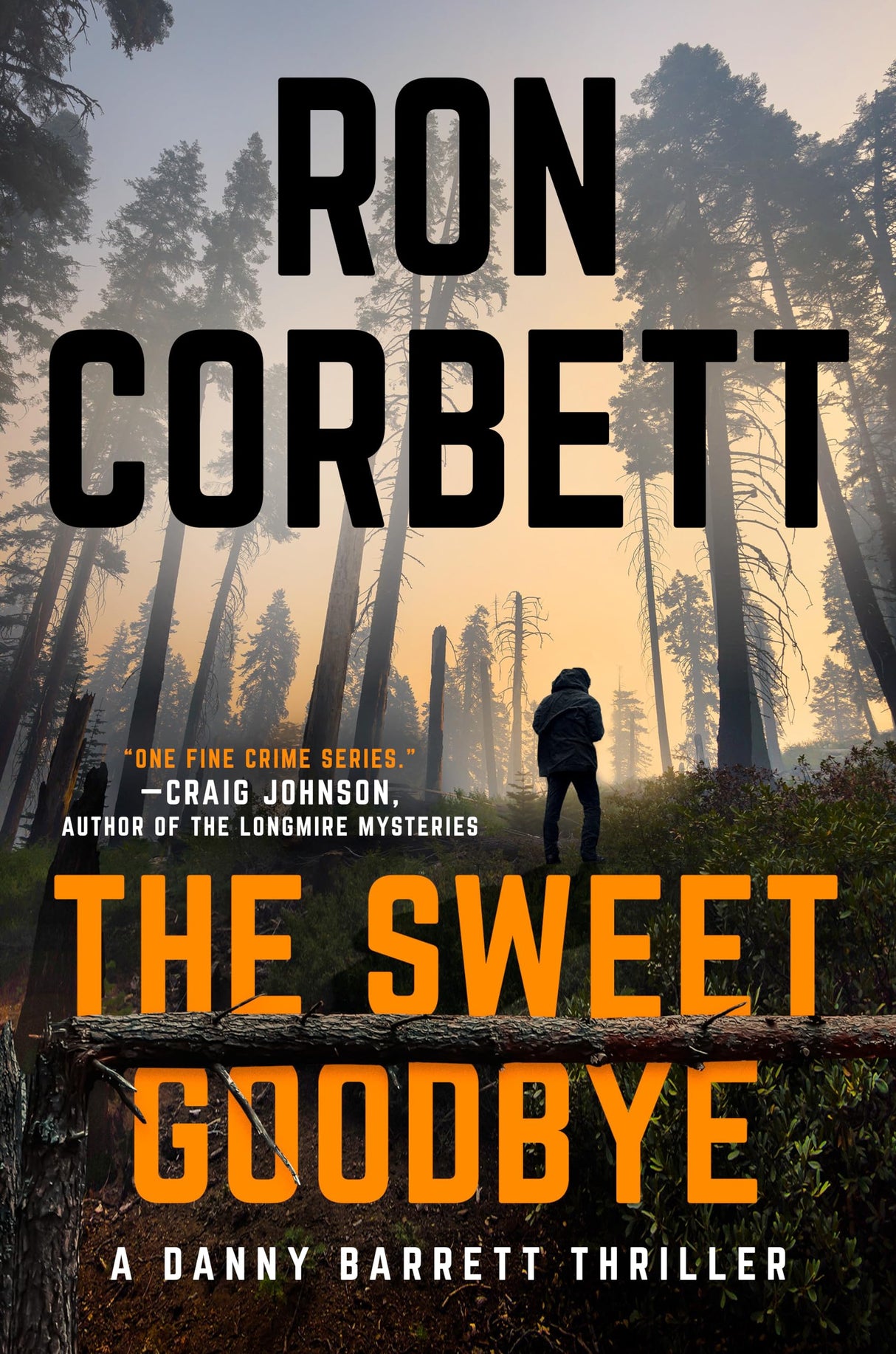The Sweet Goodbye: 1 (A Danny Barrett Novel)