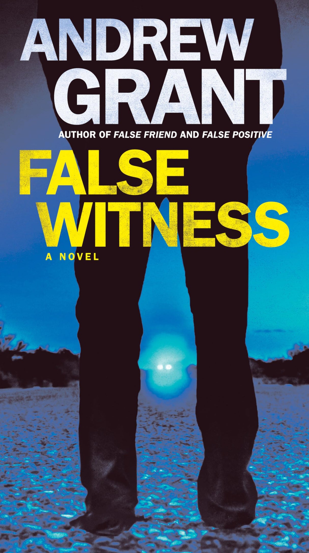 False Witness: A Novel: 3 (Detective Cooper Devereaux)