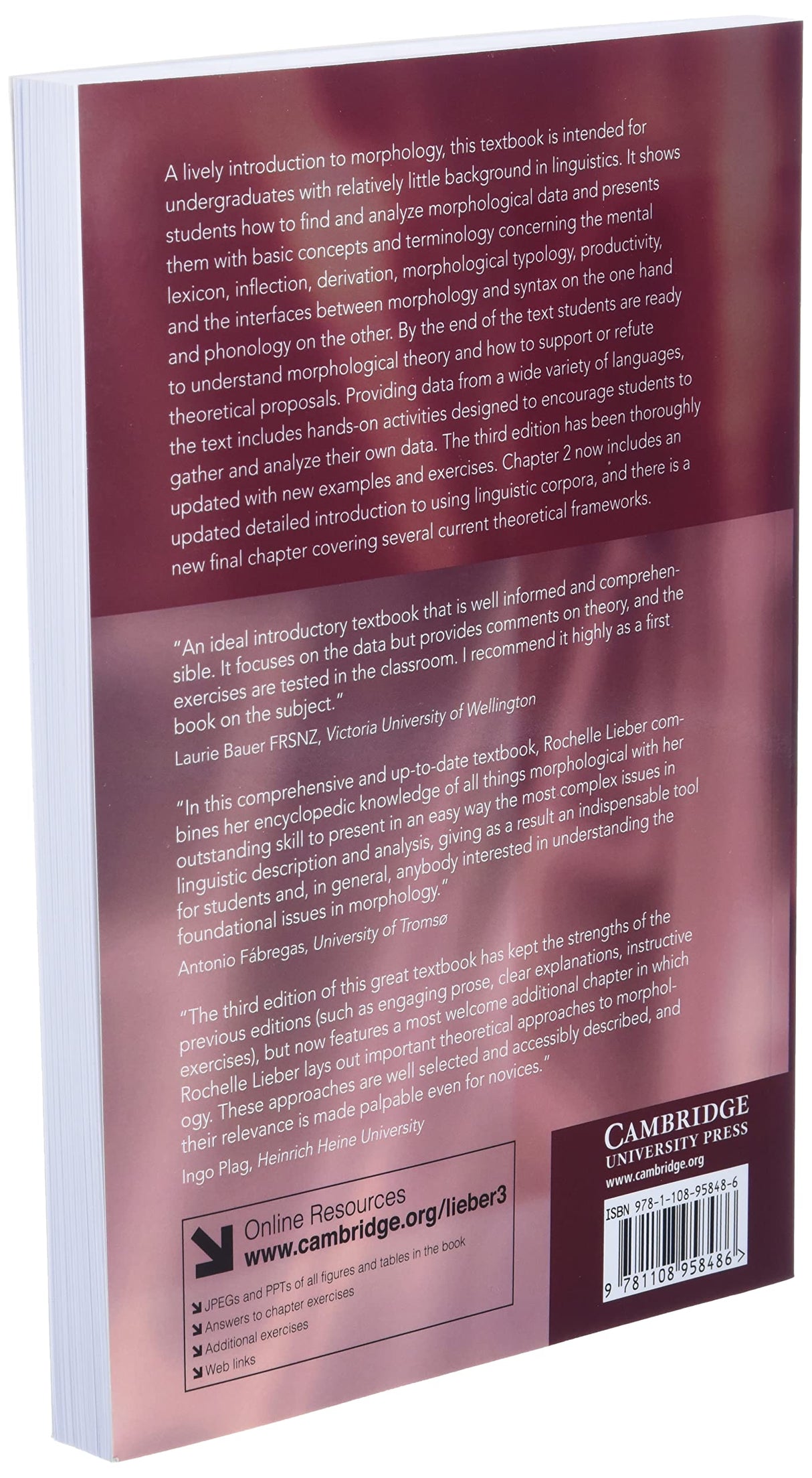 Introducing Morphology (Cambridge Introductions to Language and Linguistics) - Retail Maharaj