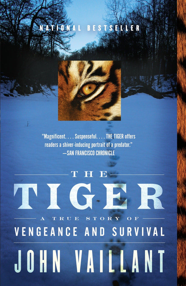The Tiger - Retail Maharaj