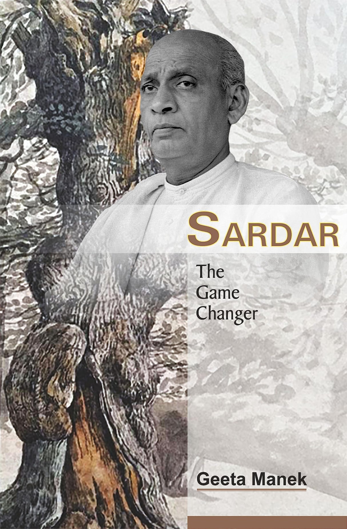 Sardar: The Game Changer - Retail Maharaj