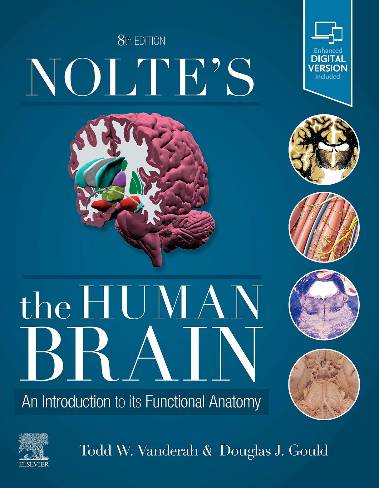 Nolte's The Human Brain: An Introduction to its Functional Anatomy, 8e