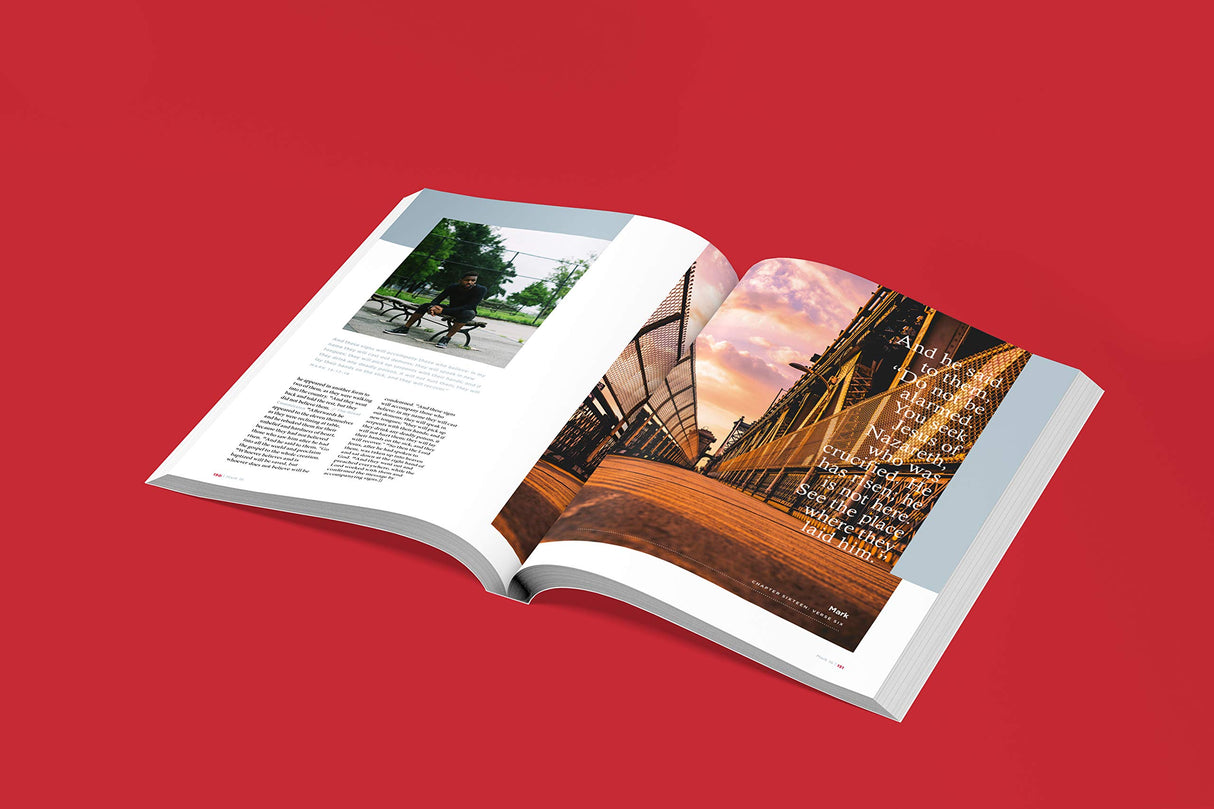 The New Testament Experience: The Gospels for the Modern World - Retail Maharaj