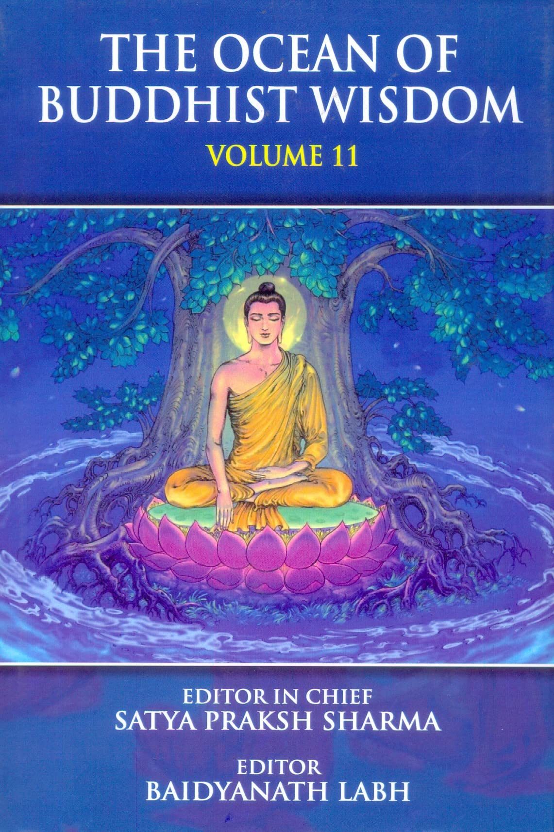 The ocean of Buddhist wisdom Vol. XI: an anthology of research papers presented in English during the 11th Annual Session of ISBS held at Jain Vishwa Bharati, London - Retail Maharaj