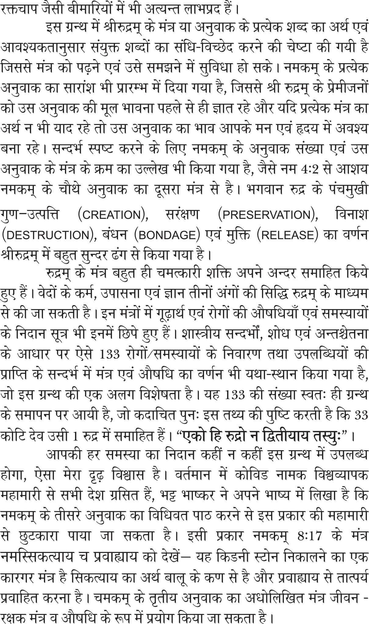 Sri Rudram evam uski Chamatkarik Shaktiyan [Paperback] Mr G M AGARWAL