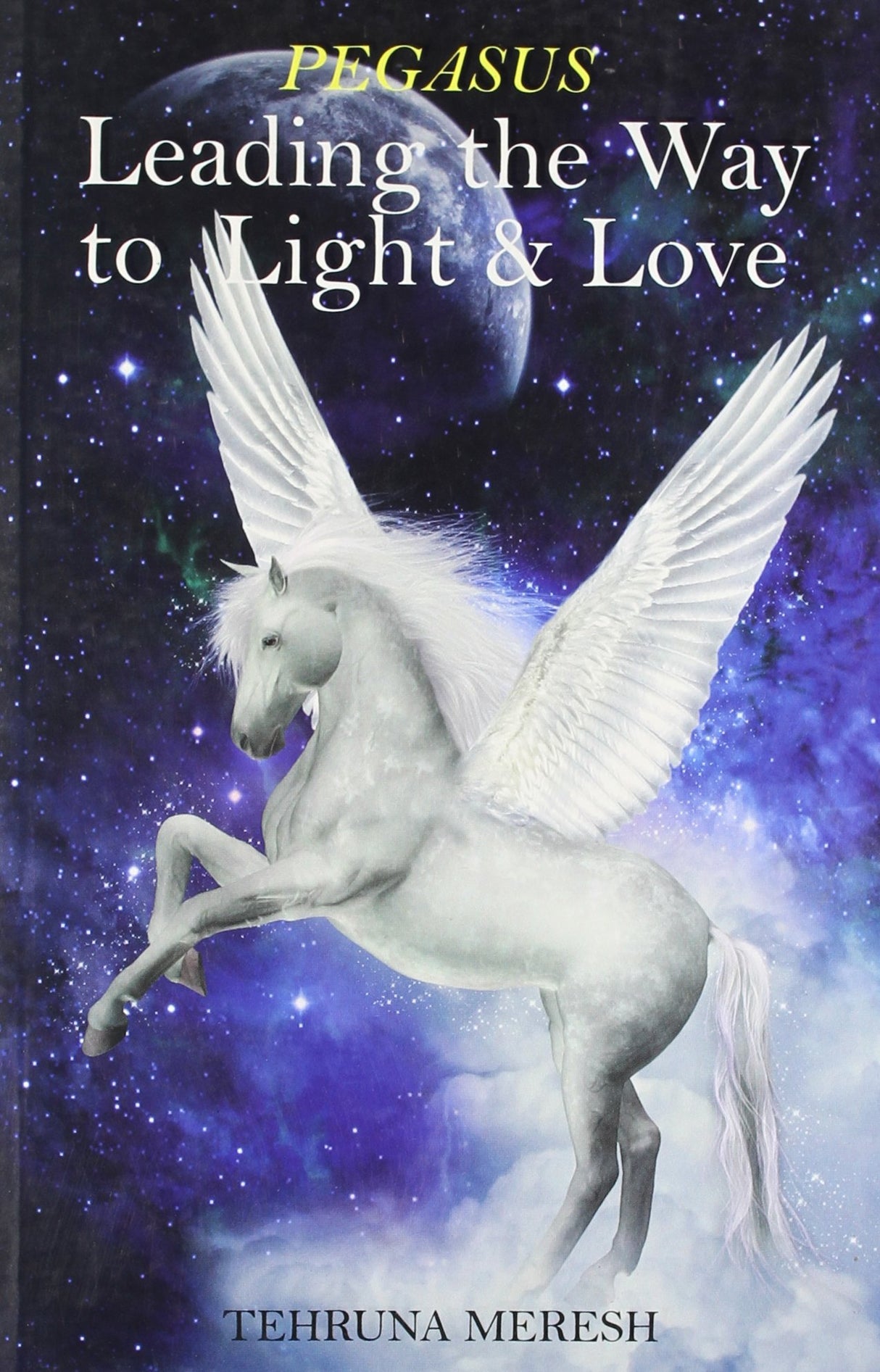 PEGASUS: Leading The Way To Light & Love - Retail Maharaj