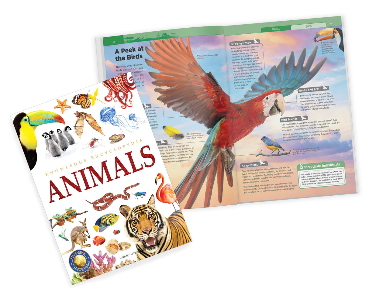 Knowledge Encyclopedia Boxed Set 8 Hardcover Books For Kids Age Group 10+ Total No. Of Pages 1536 192 Pages Per Book Of A4 Size Topics-World History Space Planet Earth Inventions & Discoveries - Retail Maharaj