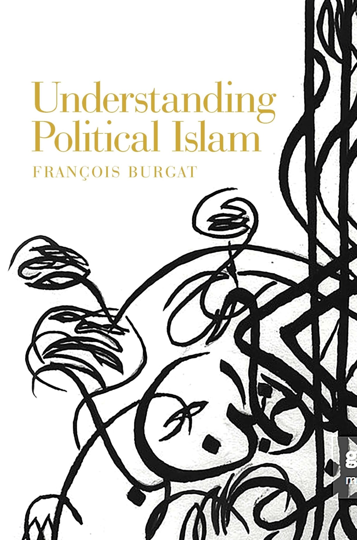 Understanding Political Islam - Retail Maharaj