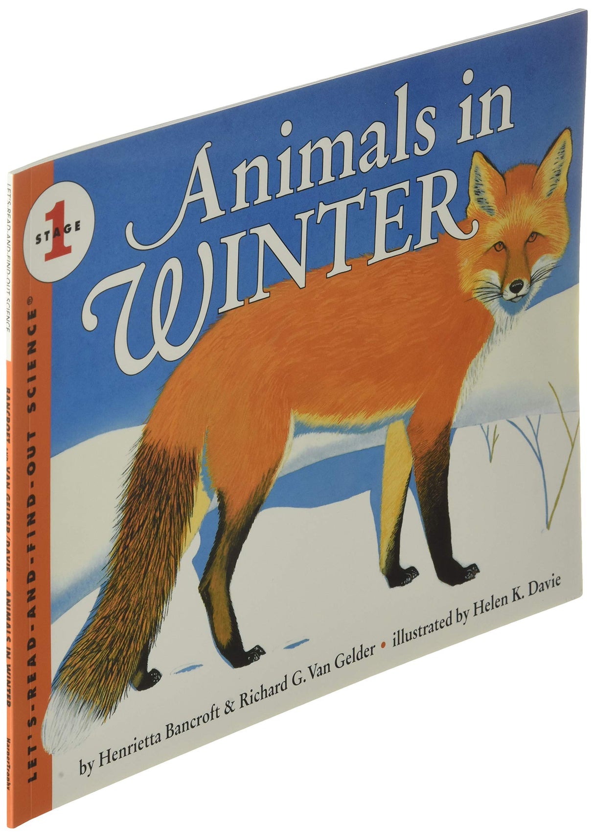 Animals In Winter
