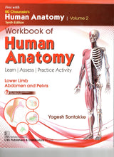 Bd Chaurasias Human Anatomy - 10Ed Vol 2 Regional And Applied Dissection And Clinical Lower Limb Abdomen And Pelvis With Free Workbook And Ebooks (Pb 2025)