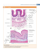 INDERBIR SINGH'S TEXTBOOK OF HUMAN HISTOLOGY