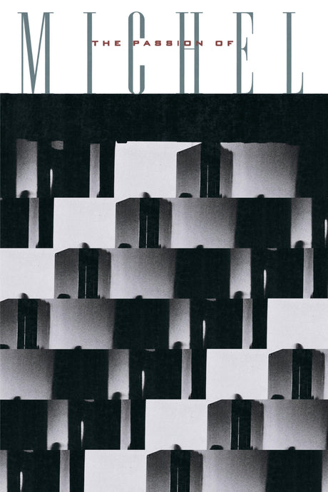 The Passion of Michel Foucault - Retail Maharaj