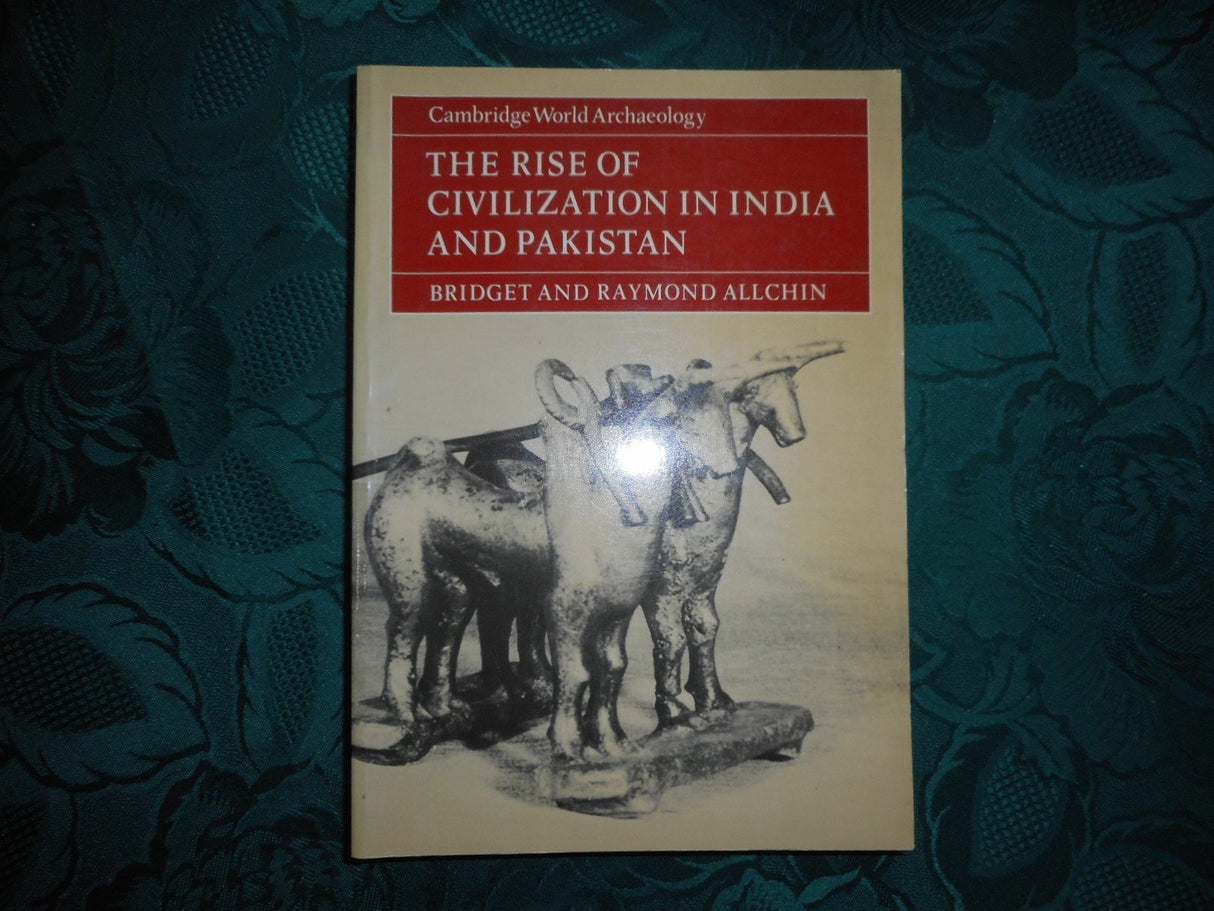 The Rise of Civilization in India and Pakistan (Cambridge World Archaeology)