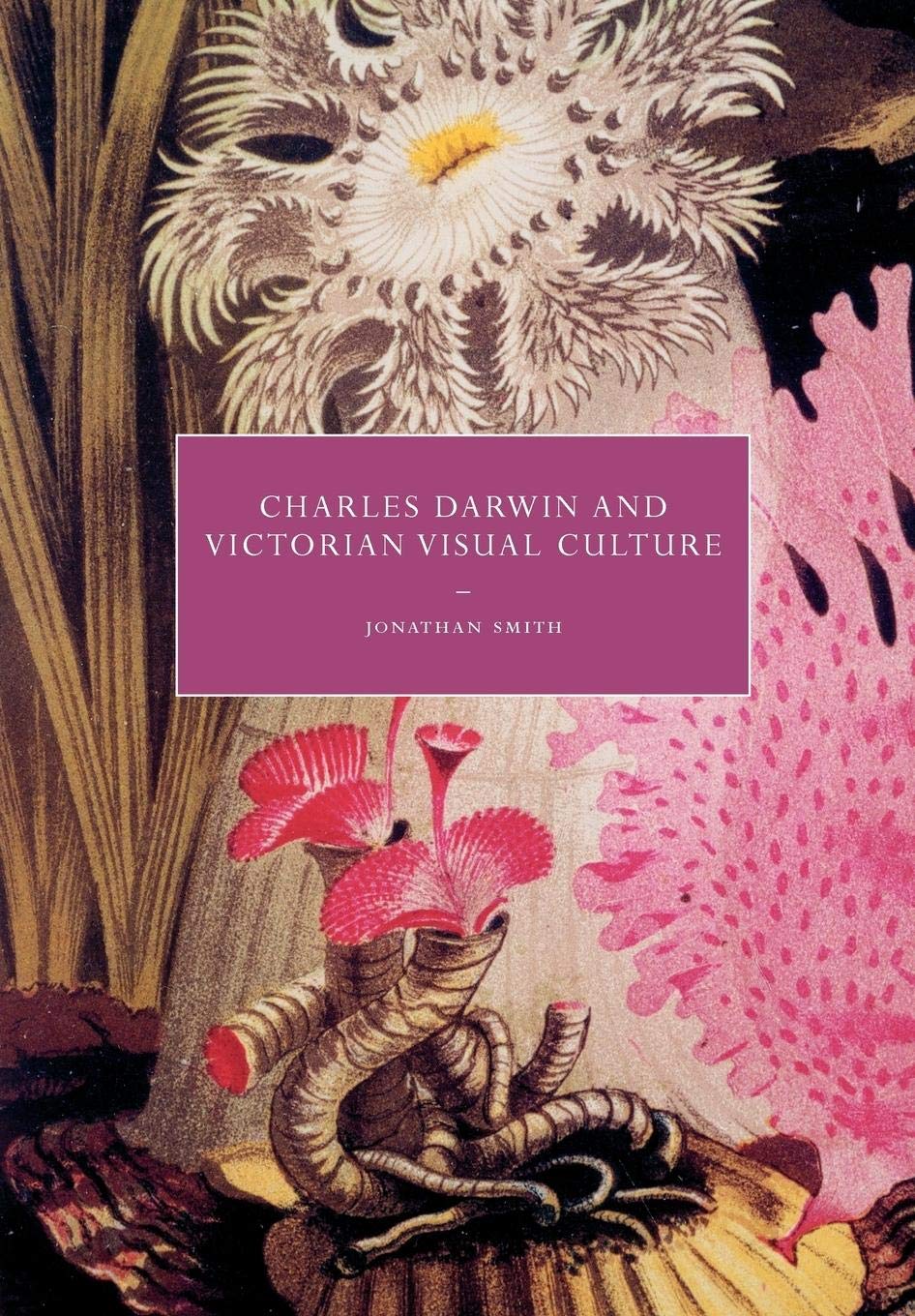 Charles Darwin and Victorian Visual Culture: 50 (Cambridge Studies in Nineteenth-Century Literature and Culture)
