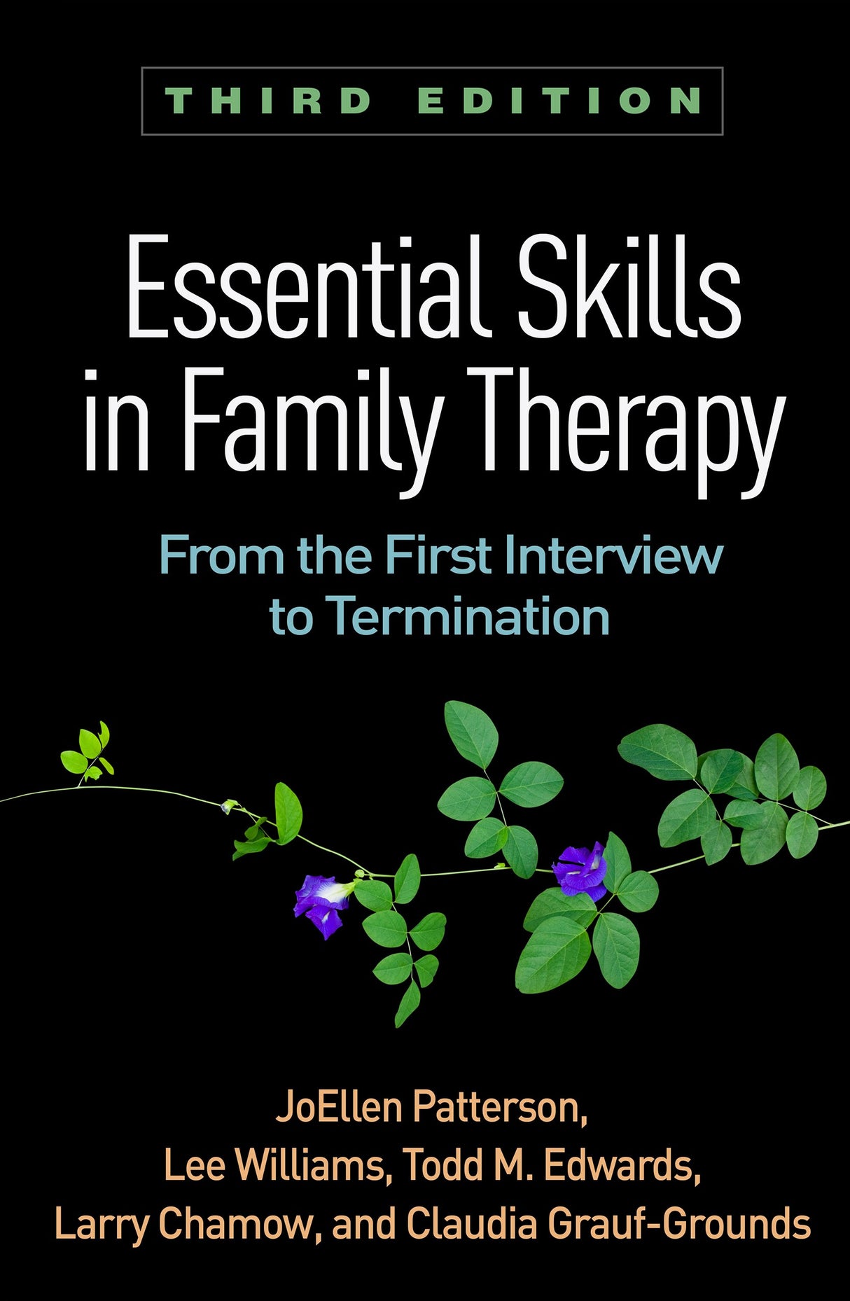 Essential Skills in Family Therapy: From the First Interview to Termination (The Guilford Family Therapy) - Retail Maharaj