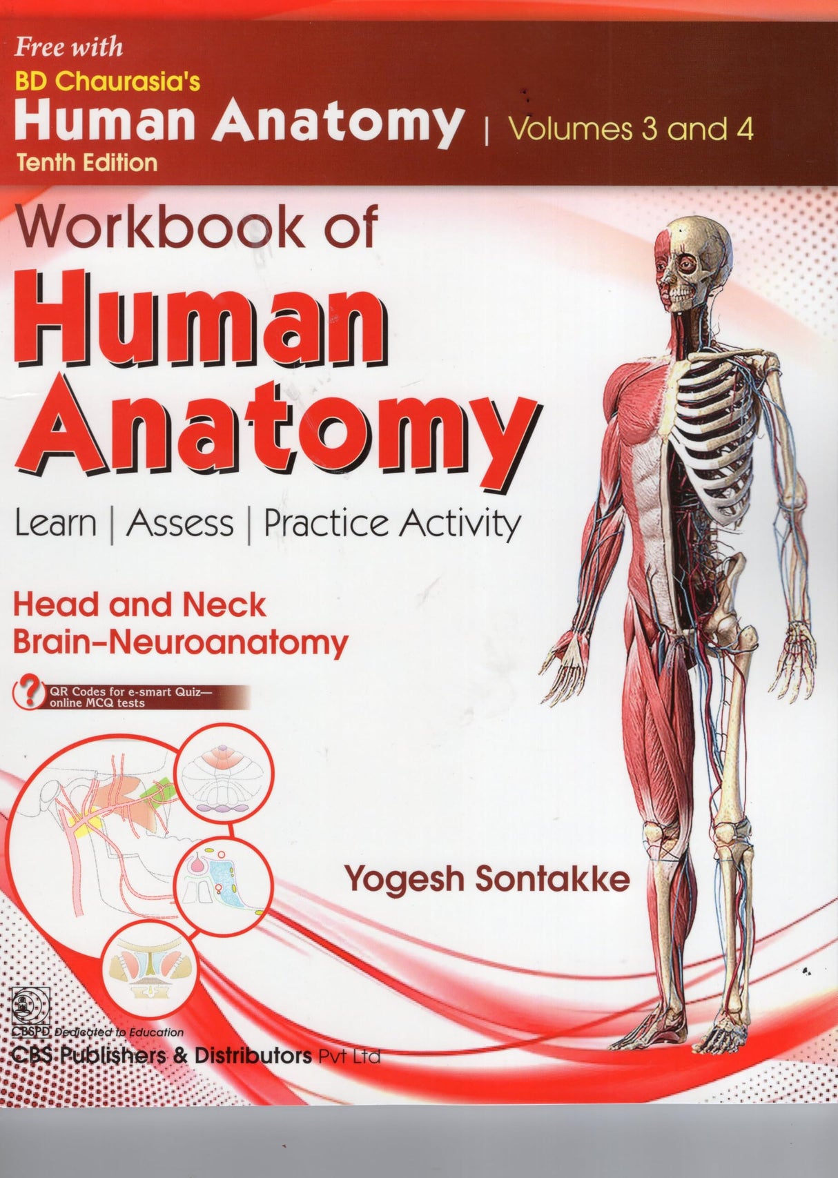 Bd Chaurasias Human Anatomy 10Ed Vol 3 And 4 Regional And Applied Dissection And Clinical Head And Neck Brain Neuroanatomy With Free Workbook And Ebooks (Pb 2025)