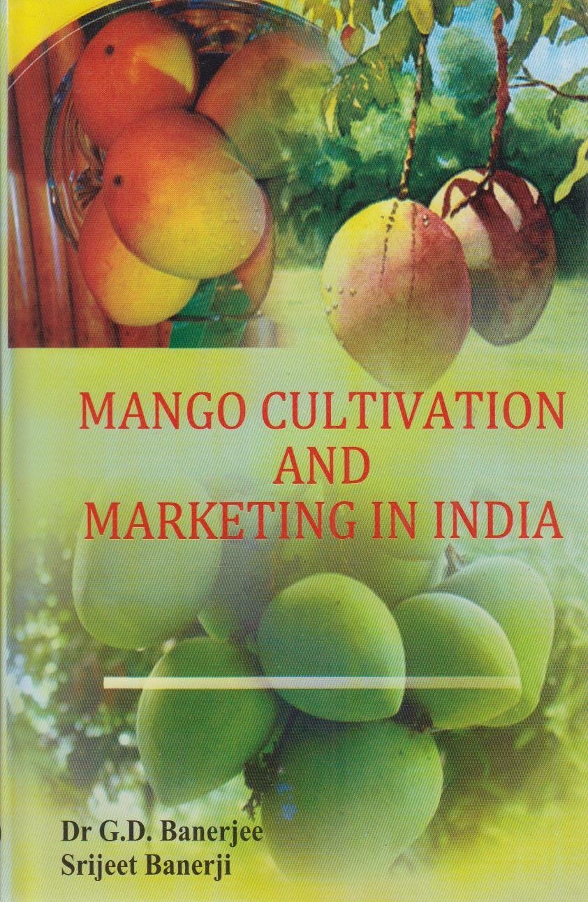 Mango Cultivation and Marketing in India - Retail Maharaj