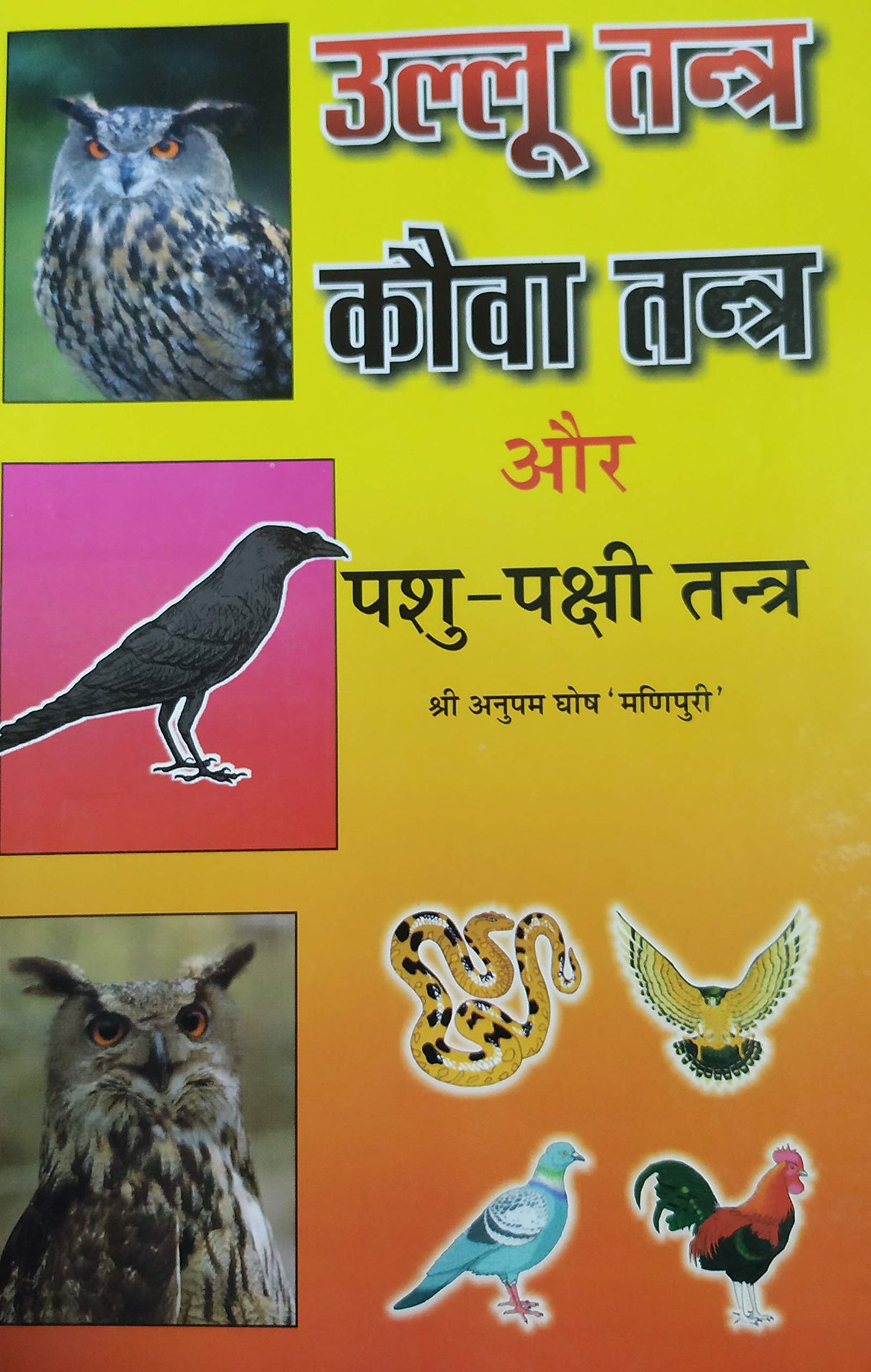 Ullu Tantra Kauwa Tantra aur Pashu - Pakshi Tantra [Hindi] - Retail Maharaj