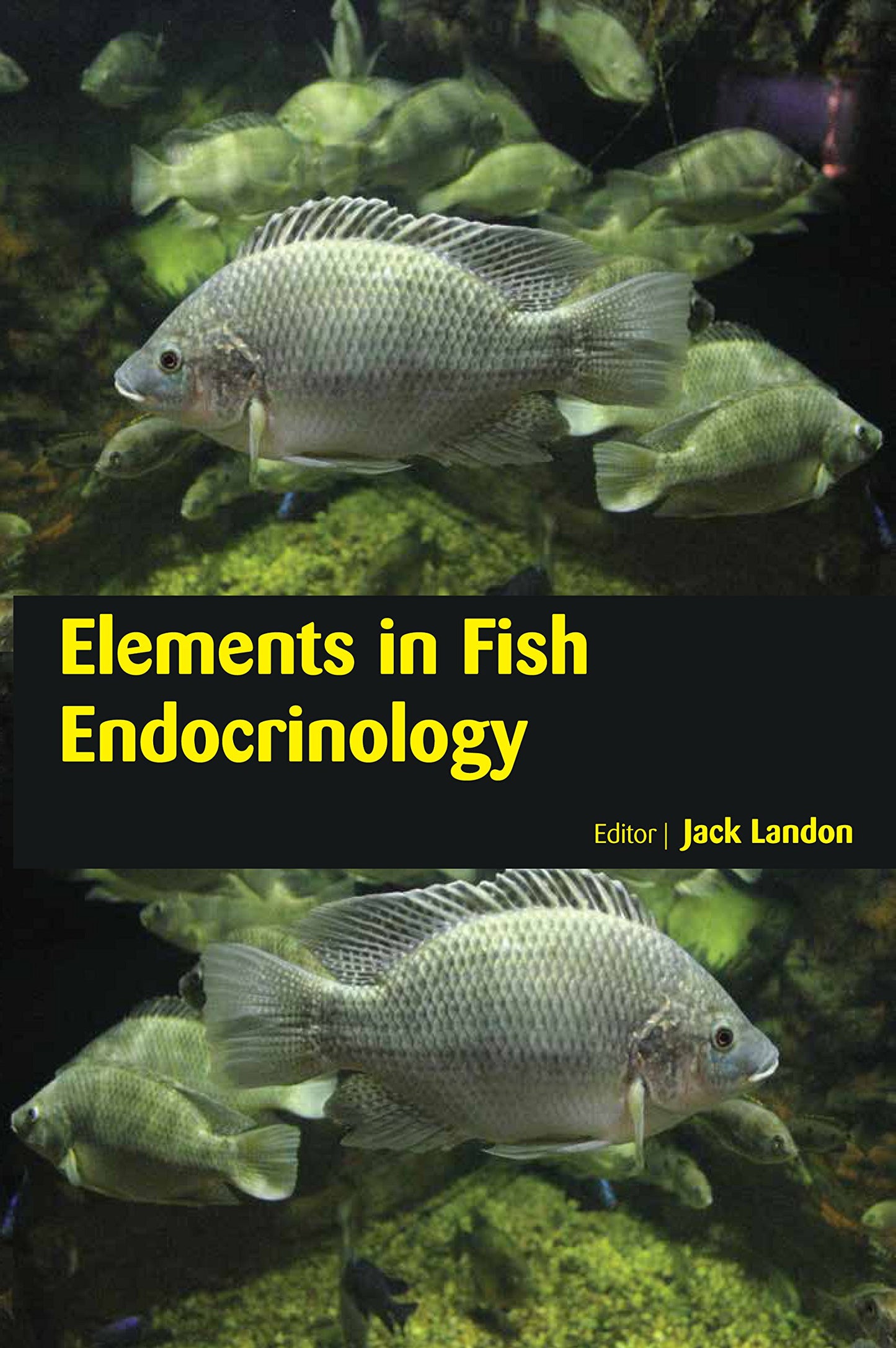 ELEMENTS IN FISH ENDOCRINOLOGY