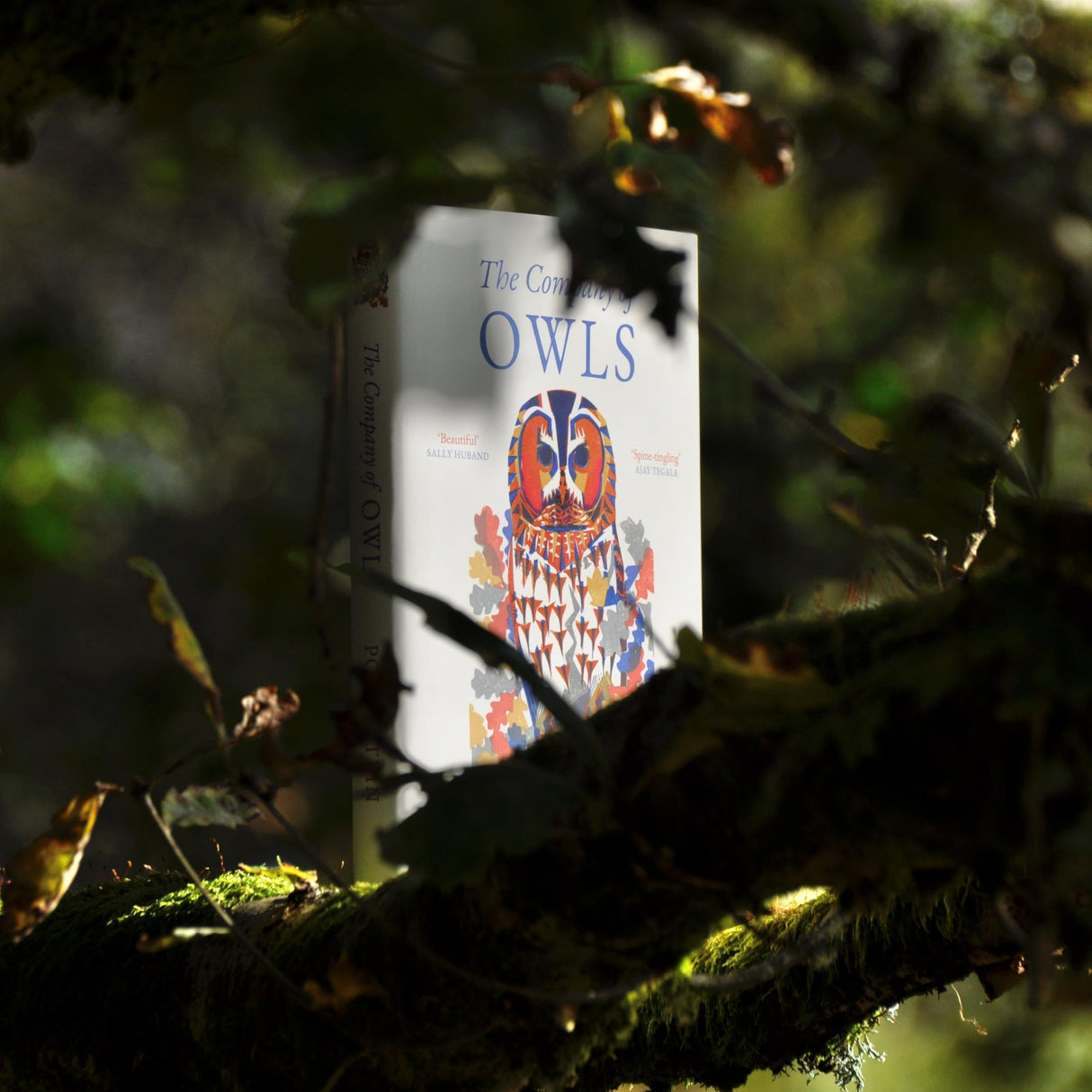 The Company of Owls: The perfect stocking filler the bird lover in your life - Retail Maharaj