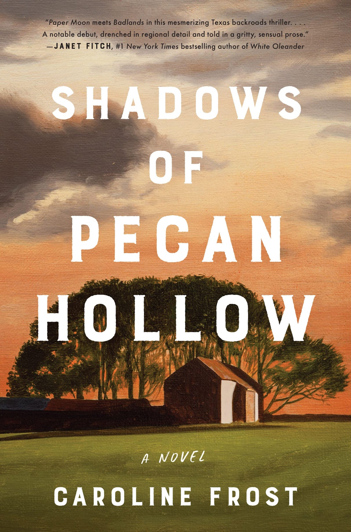 Shadows of Pecan Hollow: A Novel - Retail Maharaj