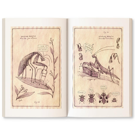 Go Wild: Stories, essays and comics that celebrate the Earth - Retail Maharaj