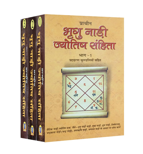 Pracheen Bhrigu Nadi Jyotish Sahita (3 Volume Set) [Hindi] By Acharya Vivekshree Kaushik - Retail Maharaj
