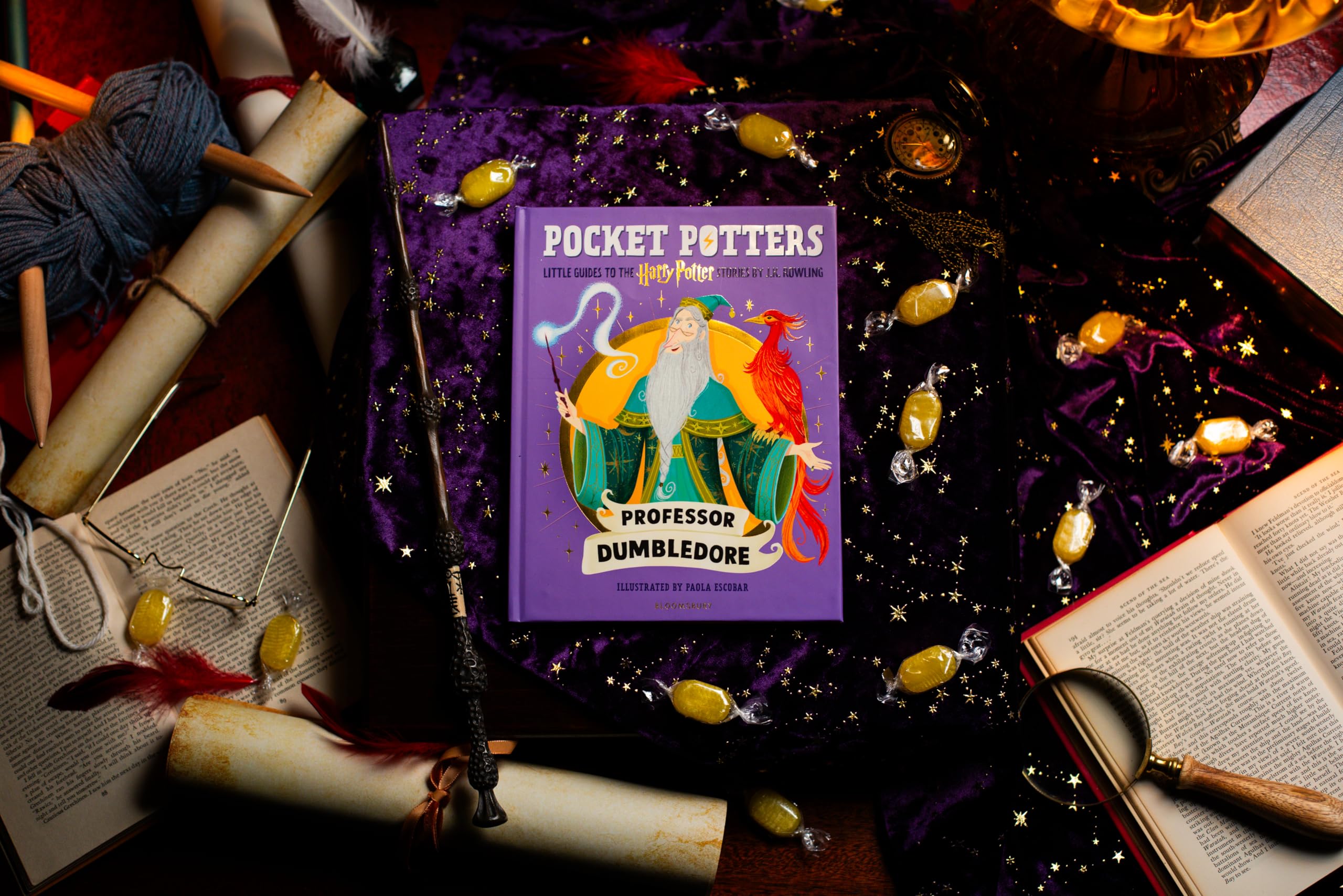 Professor Dumbledore (Pocket Potters – Little Guides to the HARRY POTT