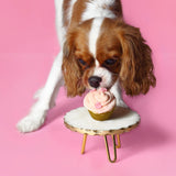 The Barkery Book: Delicious DIY Treats for Your Dogs - Retail Maharaj