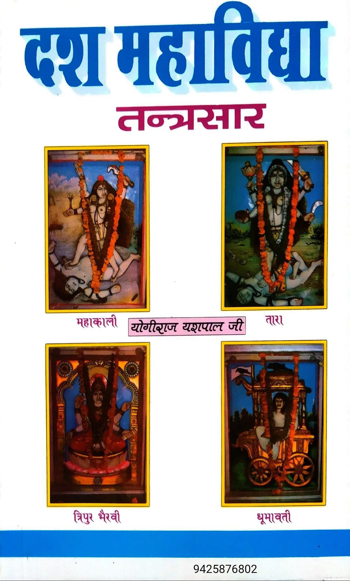 Dash Mahavidhya Tantrasaar [Hindi] - Retail Maharaj