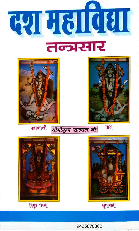 Dash Mahavidhya Tantrasaar [Hindi] - Retail Maharaj