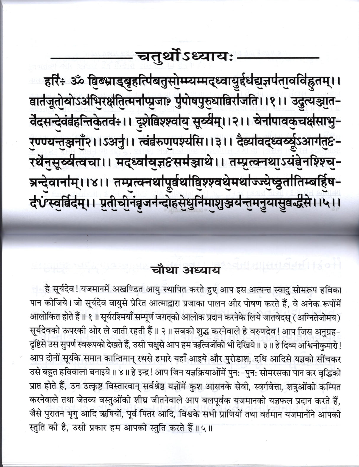 Rudrashtadhyayi [Hindi Sanskrit] - Retail Maharaj