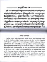 Rudrashtadhyayi [Hindi Sanskrit] - Retail Maharaj