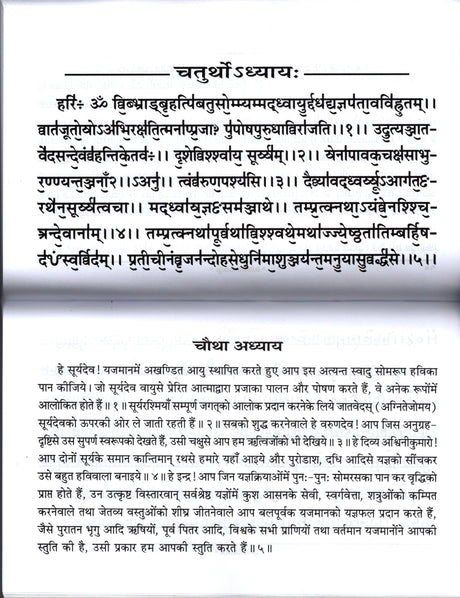 Rudrashtadhyayi [Hindi Sanskrit] - Retail Maharaj