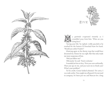 Nettle: Faery Realms series: The darkly enchanting YA fantasy - Retail Maharaj