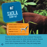 Animals At Risk (Wild World: Top 10) - Retail Maharaj
