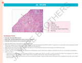HISTOLOGY PRACTICAL MANUAL