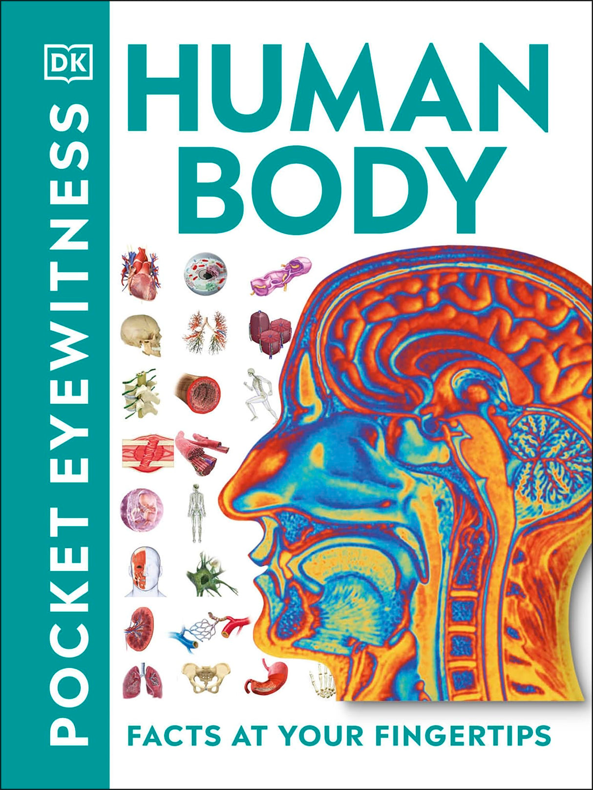 Pocket Eyewitness Human Body - Retail Maharaj