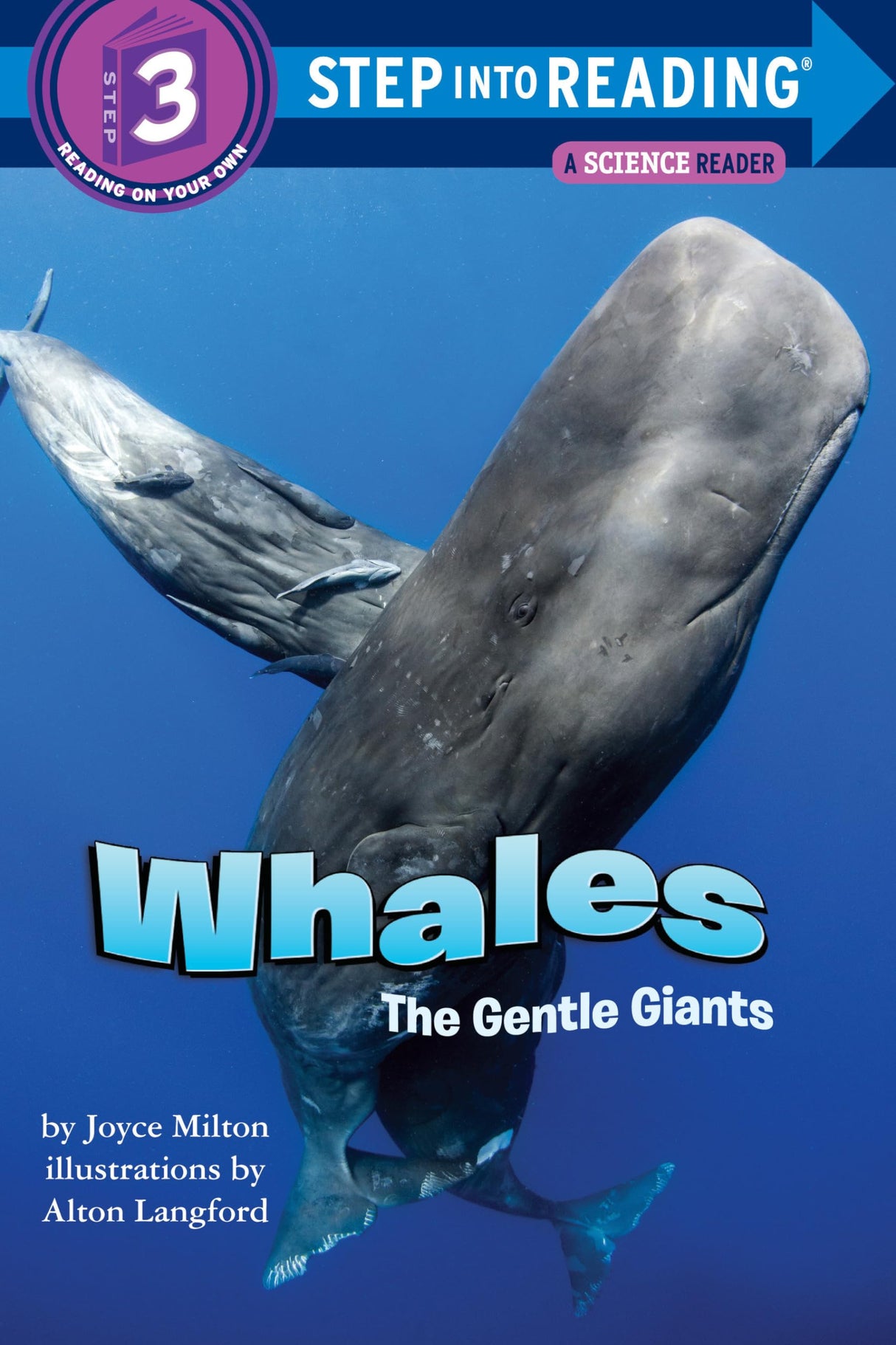 Whales: The Gentle Giants - Retail Maharaj