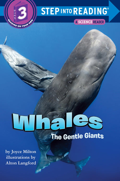 Whales: The Gentle Giants - Retail Maharaj