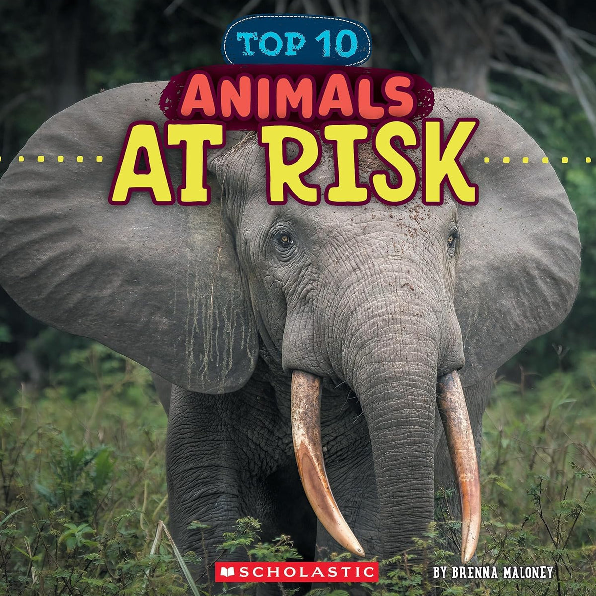 Animals At Risk (Wild World: Top 10)