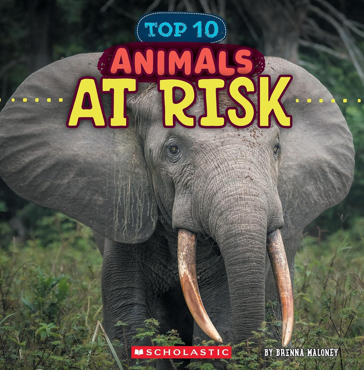 Animals At Risk (Wild World: Top 10) - Retail Maharaj