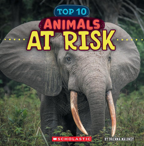Animals At Risk (Wild World: Top 10) - Retail Maharaj