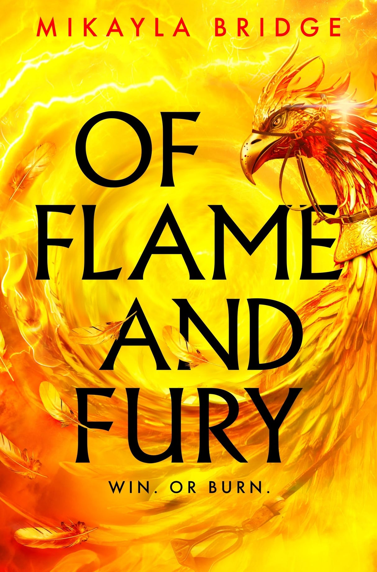Of Flame and Fury: Racing. Phoenixes. Enemies-to-lovers Romance. Don't Miss the Hottest YA Fantasy of the Year! - Retail Maharaj