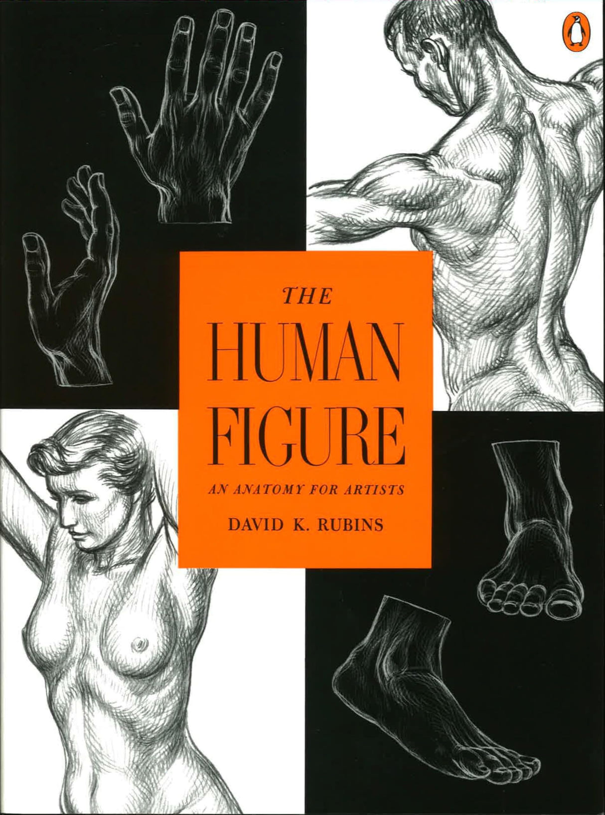 The Human Figure: An Anatomy for Artists - Retail Maharaj