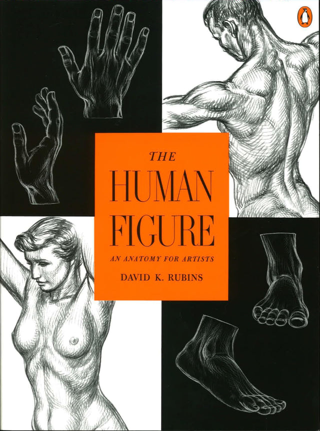 The Human Figure: An Anatomy for Artists - Retail Maharaj