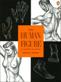 The Human Figure: An Anatomy for Artists - Retail Maharaj