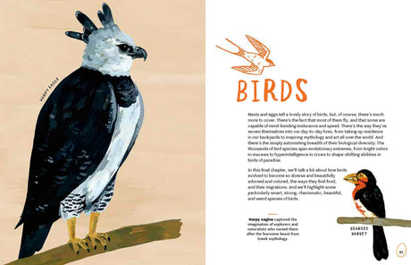 Nests, Eggs, Birds: An Illustrated Aviary - Retail Maharaj